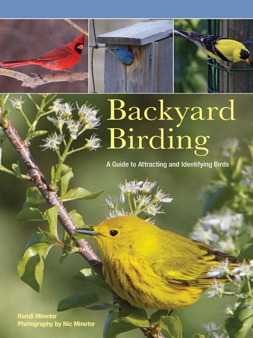 Title details for Backyard Birding by Randi Minetor - Available
